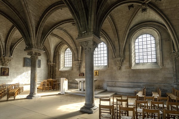 Vezelay labelled les Plus Beaux Villages de France. Chapter house of the nave of Basilica St Mary Magdalene.Unesco World heritage. Morvan regional natural park. Via Lemovicensis way to Santiago de Compostela. Yonne department. Bourgogne Franche Comte. France