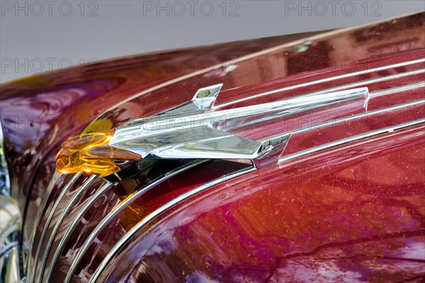 Indian head as radiator mascot of the Pontiac Star Chief