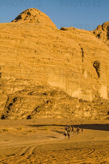 Bedouins with camels in desert