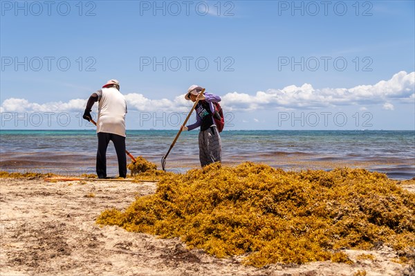 Workers cleaning