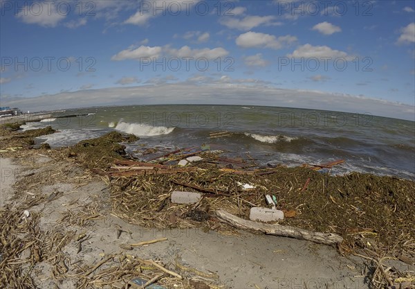 Floating debris has reached the Black Sea beaches in Odessa