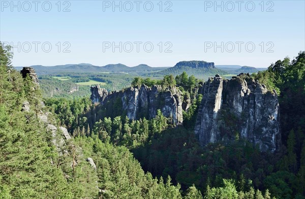 Elbe Sandstone Mountains in June