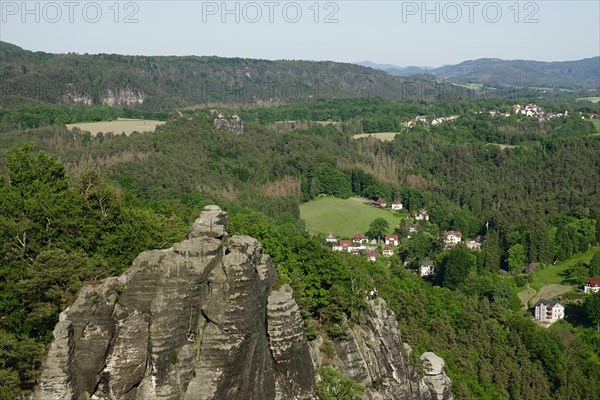 Elbe Sandstone Mountains in June