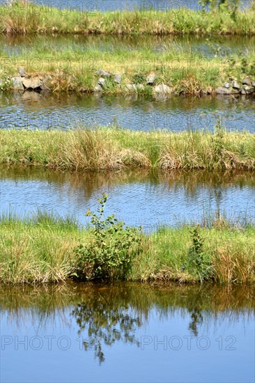 The Traunbach in the Hunsrück-Hochwald National Park with basins for trout farming