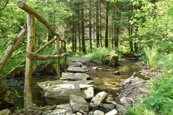 The Traunbach in the Hunsrück-Hochwald National Park with a near-natural crossing for hikers