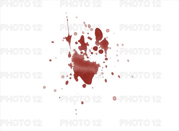 Red blood splatter stain on white background