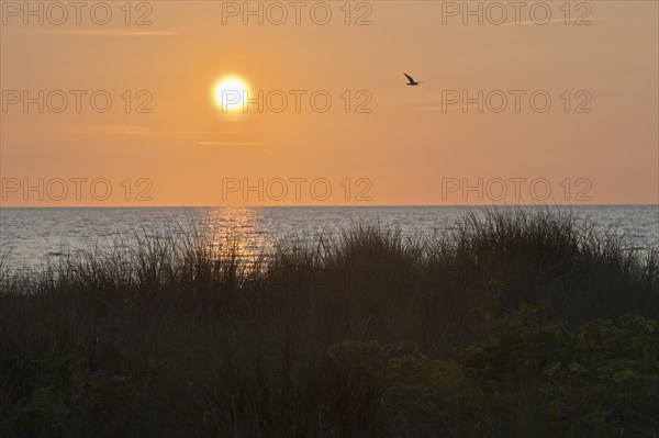 Sunset on the Baltic Sea