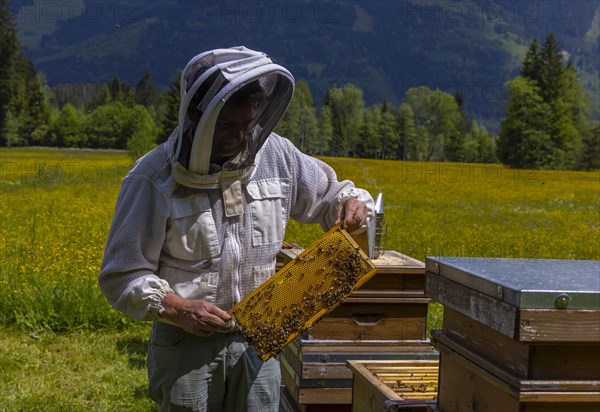 Beekeeper