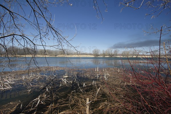 Riverscape in Spring