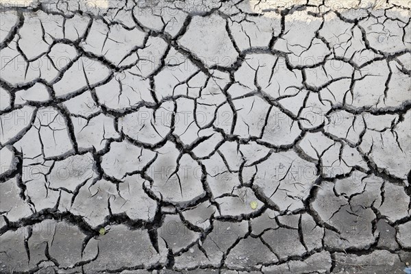 Dried cracked mud