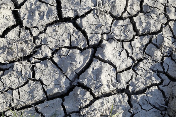 Dried cracked mud