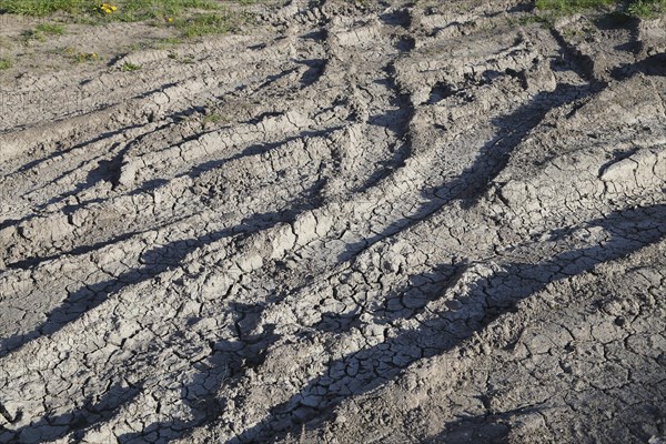 Tire prints in dried mud