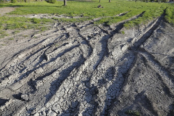 Tire prints in dried mud