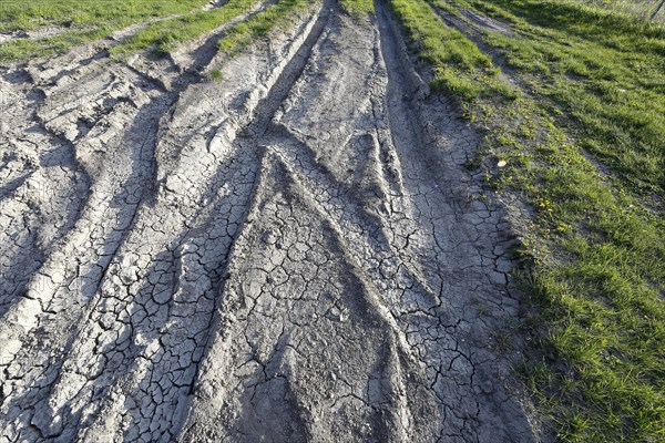 Tire prints in dried mud