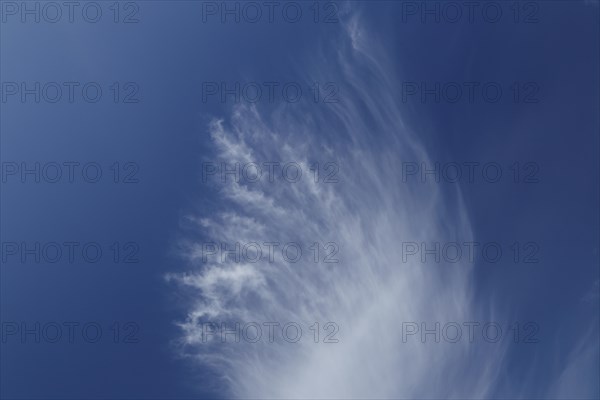 Feather clouds