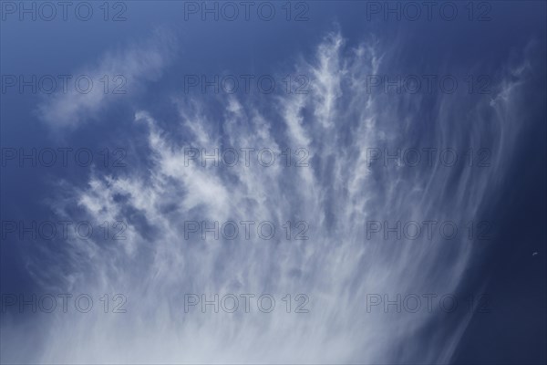 Feather clouds