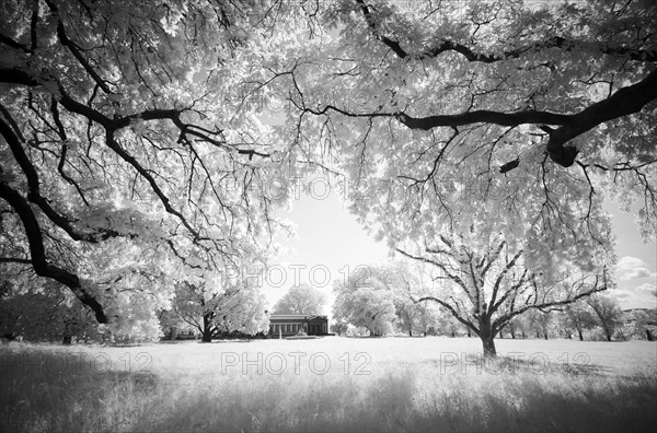 Infrared image