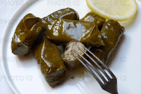 Vine leaves with rice filling on plate