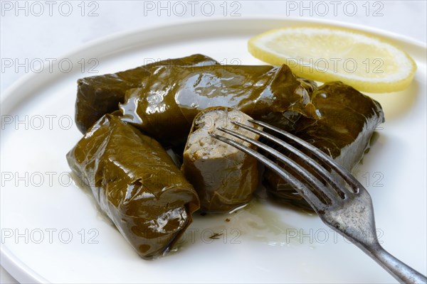 Vine leaves with rice filling on plate