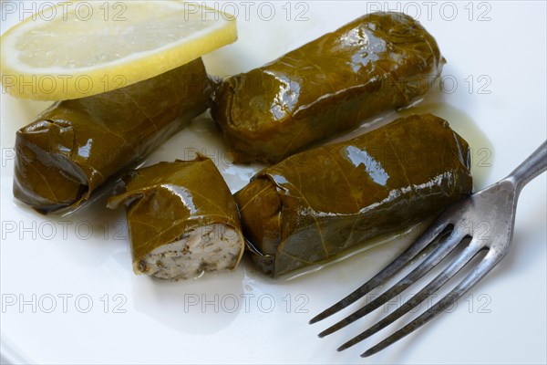 Vine leaves with rice filling on plate