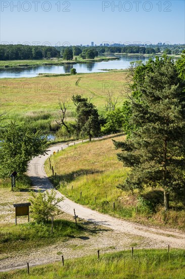 Odertal near Frankfurt Oder