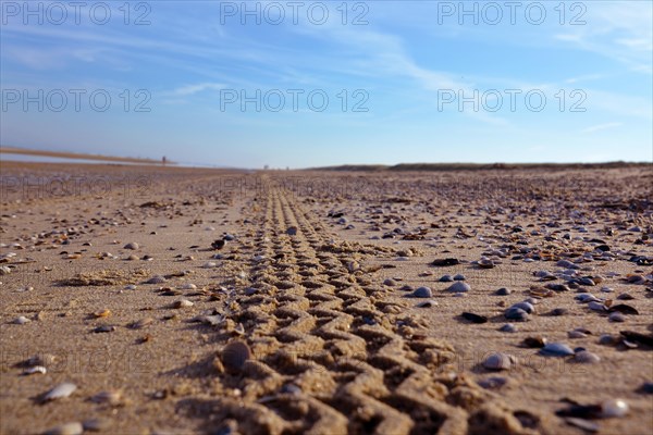 Car tire tracks leading through sand beach with blue summer sky in background