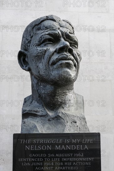 Bust of Nelson Mandela