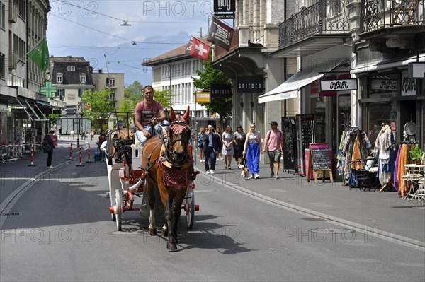 Horse-drawn carriage