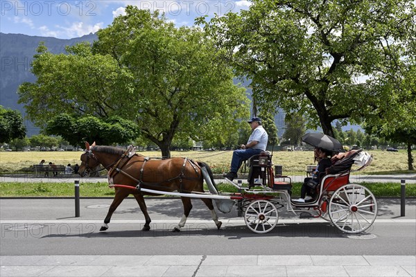 Horse-drawn carriage