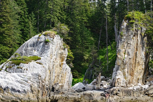 Quirky eroded rock formations on the coast