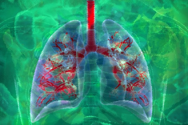 Lungs Air is inhaled through the lungs in humans and have bronchi