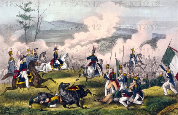 Battle of Palo Alto