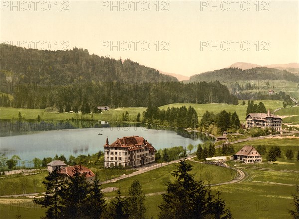 Lake Titisee in the Black Forest