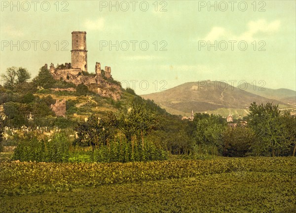 Ruin of the castle in Bad Godesberg