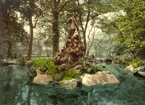 Group of nymphs in a lake in the park of Karlsruhe