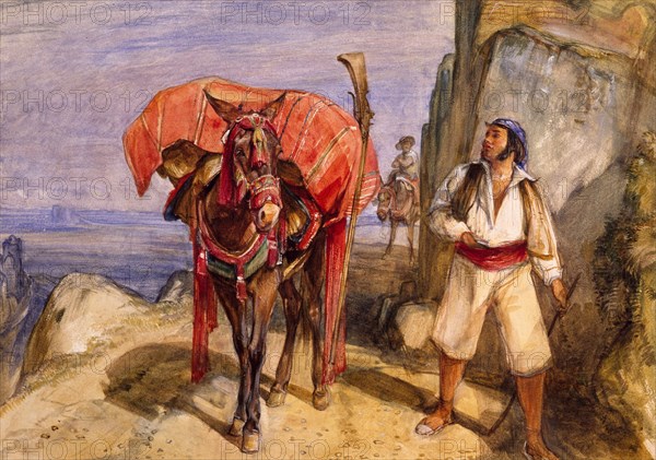 Mule and Muleteer