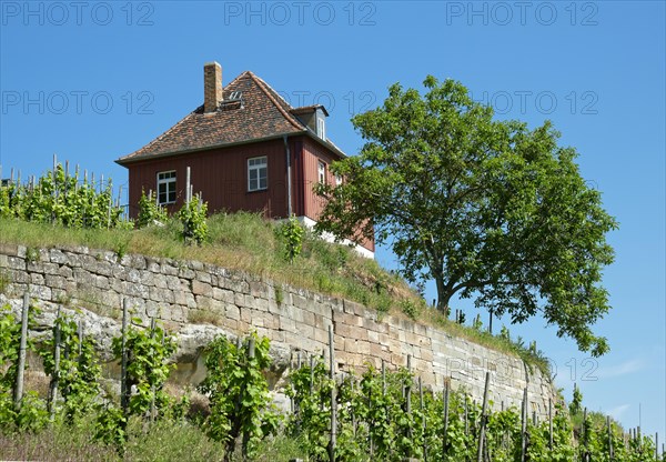 Etching house at the Max-Klinger vineyard