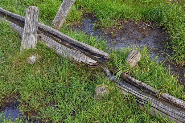 Wooden water pipe in green meadow