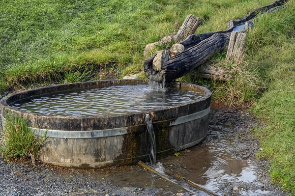 Wooden water pipe with wooden sheep