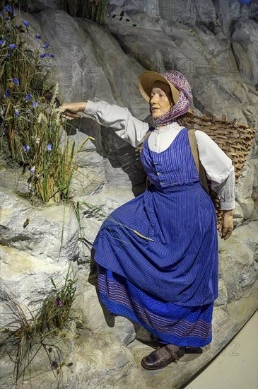 Figure of a herbalist