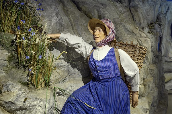 Figure of a herbalist