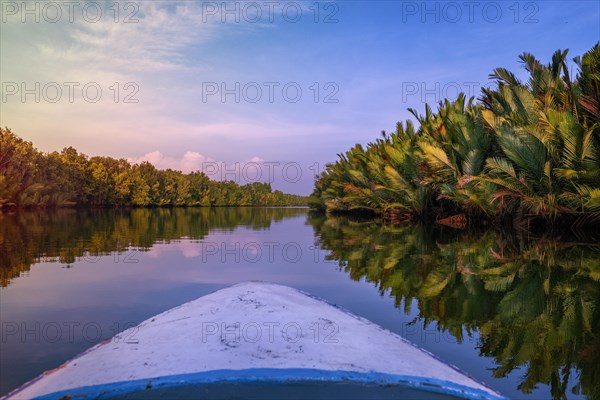 Rowing through the mangroves of the Borneo rainforest in the morning light