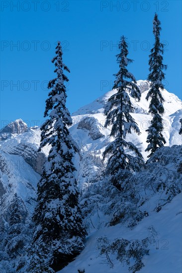 Winter landscape with view of the mountains at Enger Grund Bach near Eng Alm