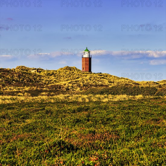 Red Cliff cross light in the evening light