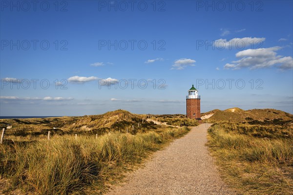 Hiking trail leading to the Red Cliff cross light