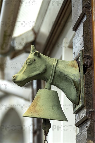 A cows head with a bell on a door