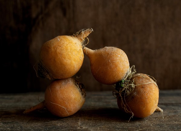 Golden ball turnip on a brown background