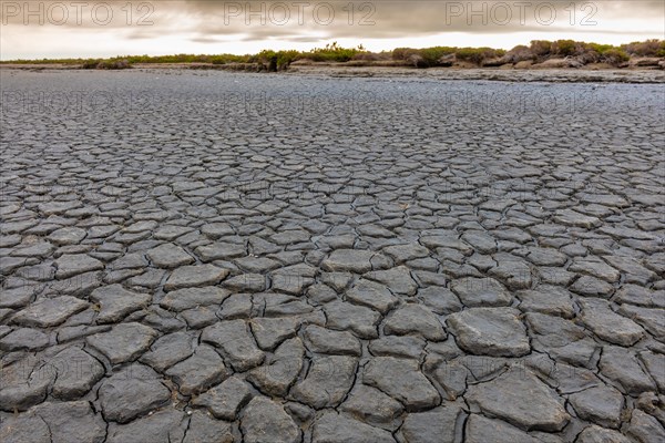 Cracks in the dried mud at the edge of the Vaccares pond