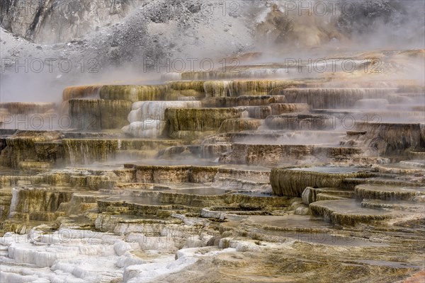 Sinter terraces