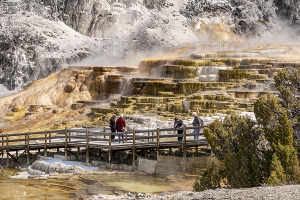 Sinter terraces